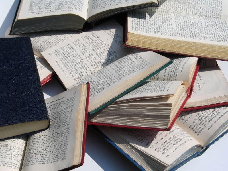 Bücher, die geschrieben werden sollten