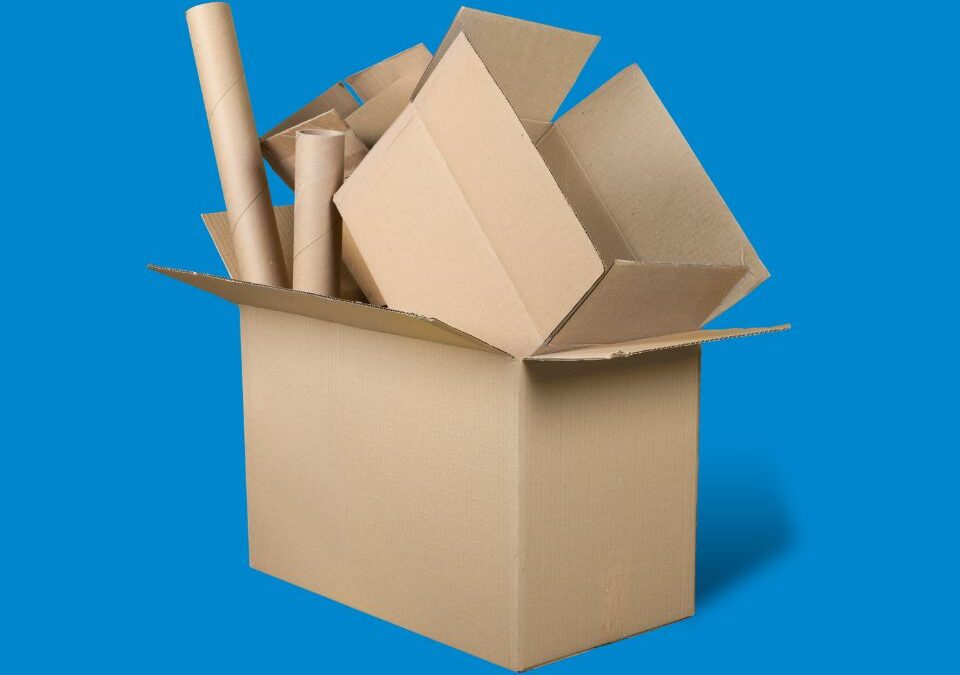 Wie lang darf ein Satz sein? 3 wichtige Regeln zur richtigen Satzlänge