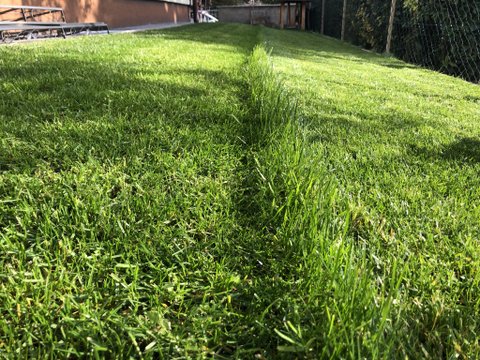 Rasenmäher-Meditation