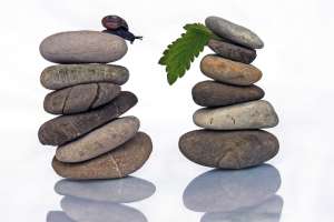 Wie du dein Buchvorhaben durchziehst